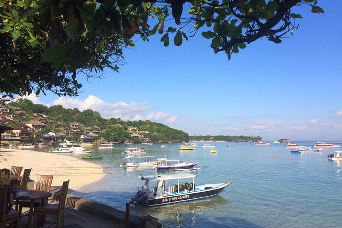 PADI Open water Course in Lembongan - Get certified & dive anywhere in the world - Course structure: online theory, pool skills, then ocean sessions