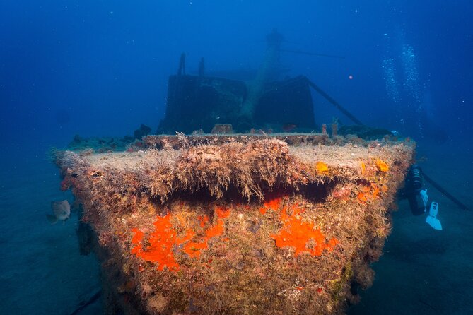 PADI Open Water course in Playa de las Americas - Where this fits in your Tenerife trip: timing, pickup, and getting there