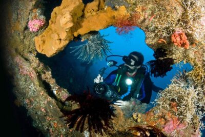 PADI Open water Course in Tulamben - Get certified & dive anywhere in the world - Your PADI Open Water timeline: online theory, pool skills, ocean sessions