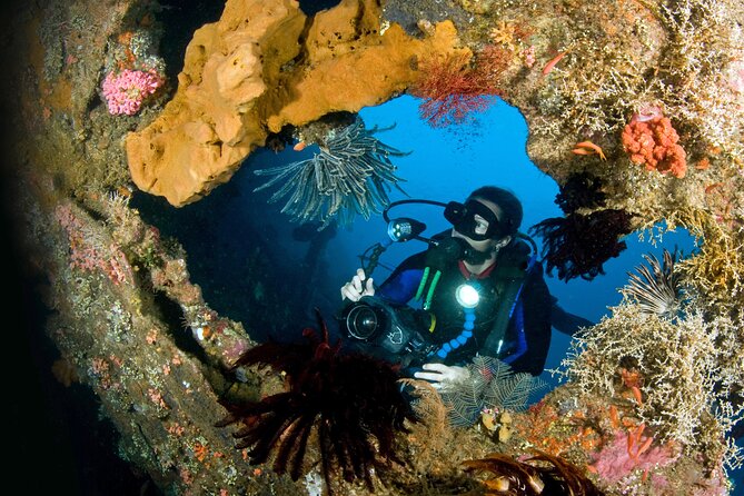 PADI Open water Course in Tulamben - Get certified & dive anywhere in the world - Your PADI Open Water timeline: online theory, pool skills, ocean sessions