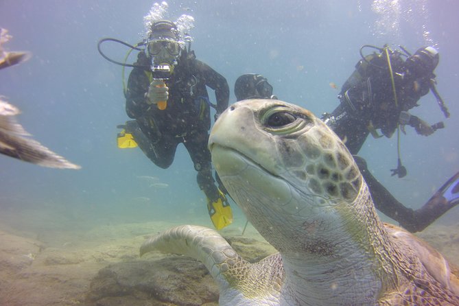 PADI Open Water Diver Course - Quick hits before you go