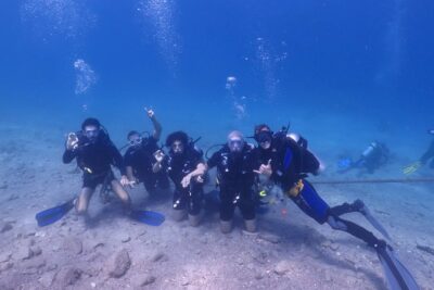 PADI Open Water Diver Course - 5 Days Scuba Diving - The 5-day flow: theory, pool/confined practice, then coral reef work