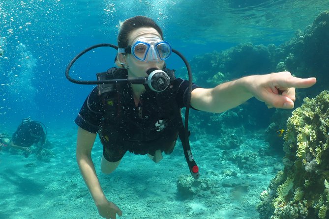PADI Open Water Diver Course - 5 Days Scuba Diving - Equipment, insurance, and the calm value of being covered