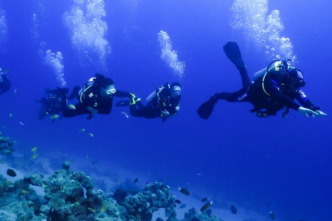 PADI Open Water Diver Course - 5 Days Scuba Diving - Price and value: what $551 covers (and how to judge if it’s fair)