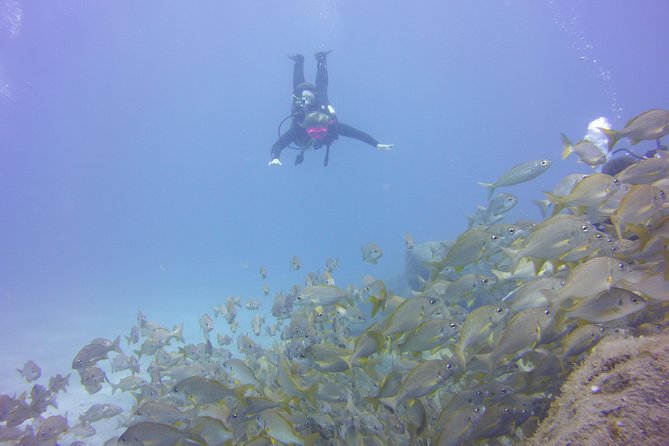 PADI Open Water Diver Course - Your first underwater skills: what to expect (and what not to stress about)