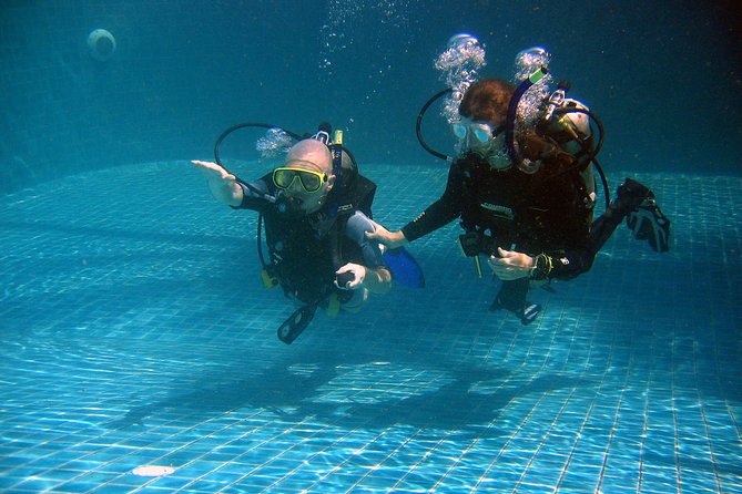 Padi open water diver course, become a diver in 3 days - What You’ll See Underwater (and Why It’s Worth the 3 Days)