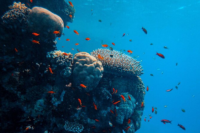 PADI Open Water Diver Course | For beginners - Open-water checkouts near Hon Mun Island: 12 meters first, then up to 18