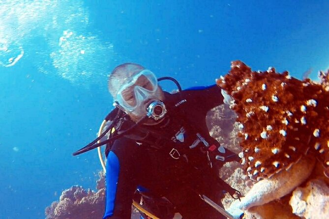 PADI Open Water Diver Course in Hurghada - Learn Scuba Diving - Your Day-by-Day Schedule in Plain English