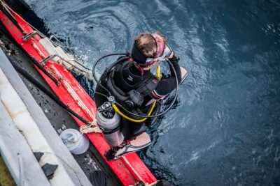 PADI Open Water Diver Course in Koh Phangan - Price and what makes the $451.04 feel fair