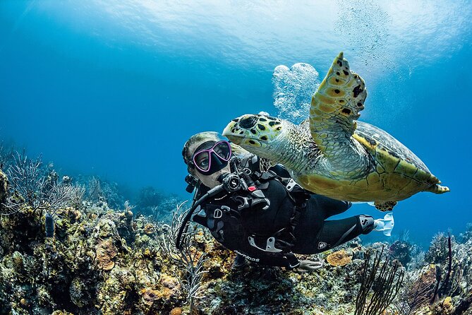 PADI Open Water Diver Course in Playa del Carmen - Getting set up before you go: the eLearning part that matters