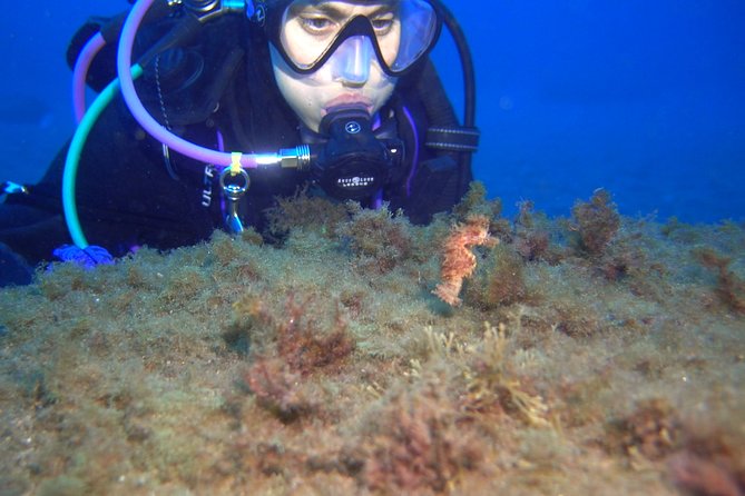 PADI Open Water Diver Course (OWD) - 2.5 days - Instructors who keep the class calm (even when you’re new)