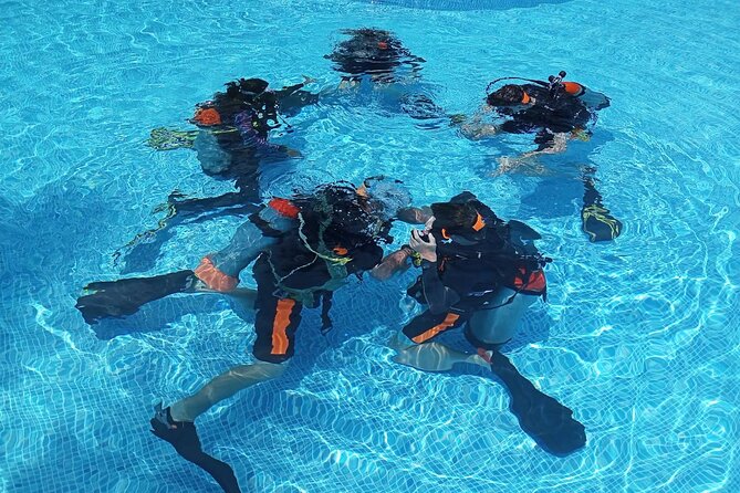 Padi open water diver course (Start at Ko Kut) - PADI Open Water at BB Divers: what you’re really signing up for