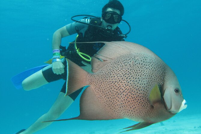 PADI Open Water Diving Certification Course Activity - Key things I’d plan around