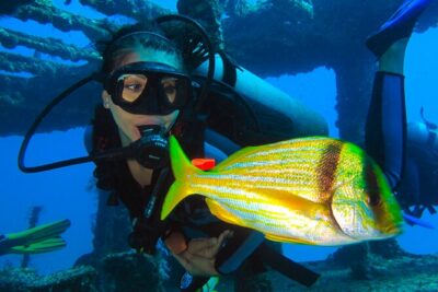 PADI Open Water Diving Certification Course Activity - The first step: Coconut Divers and a real learning setup