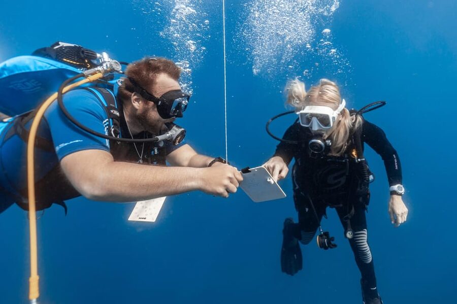 PADI Open Water Diving Course Tenerife - Open-Water Sessions Days 2 and 3: Building Skills You Can Reuse