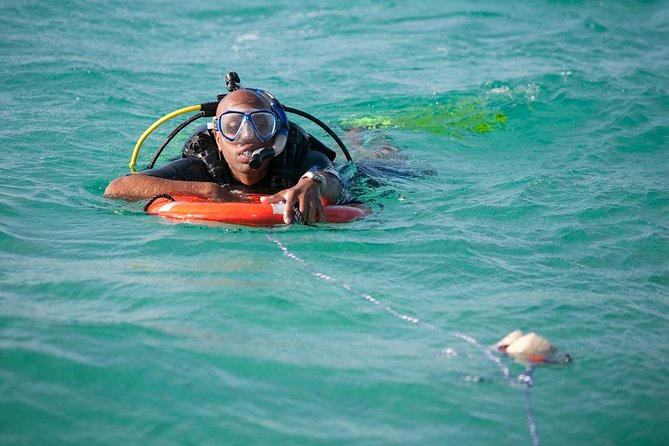 PADI Rescue Diver Course in Gran Canaria - Should you book this PADI Rescue training course in Gran Canaria?