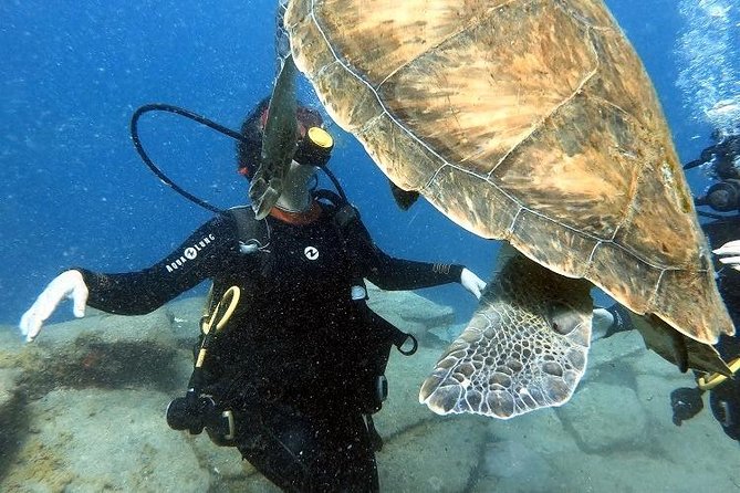 PADI Scuba Dive Course in Costa Adeje - How the PADI Scuba Diver Program Works (Without Full Open Water)
