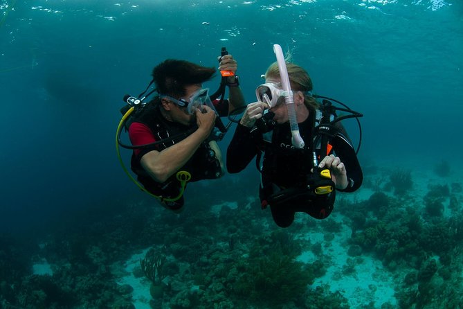 PADI Scuba Diver Course - PADI Scuba Diver: what your 12m limit really changes