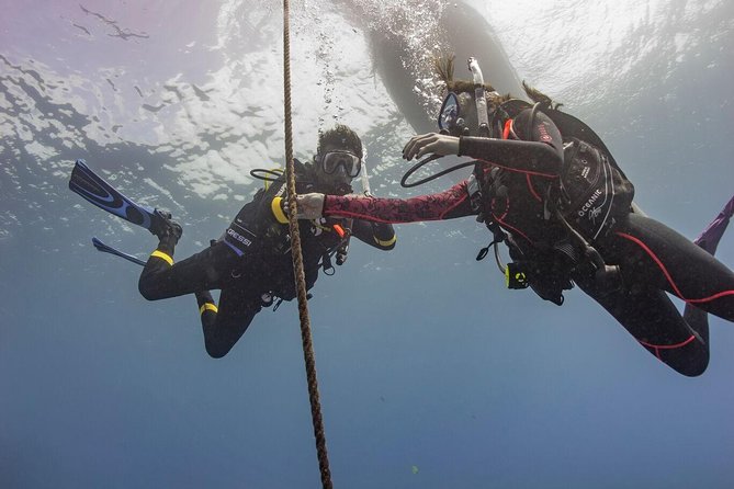 PADI Scuba Diver Course - Price and value: what $232.57 covers (and what costs extra)