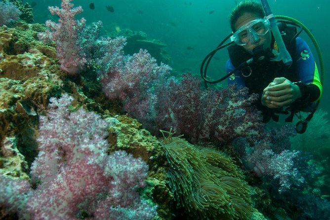 PADI Scuba Diver Course - Should you book? My practical take