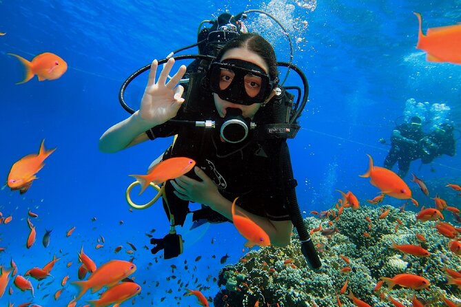 PADI Scuba Diver (PSD) - Key highlights to know before you go