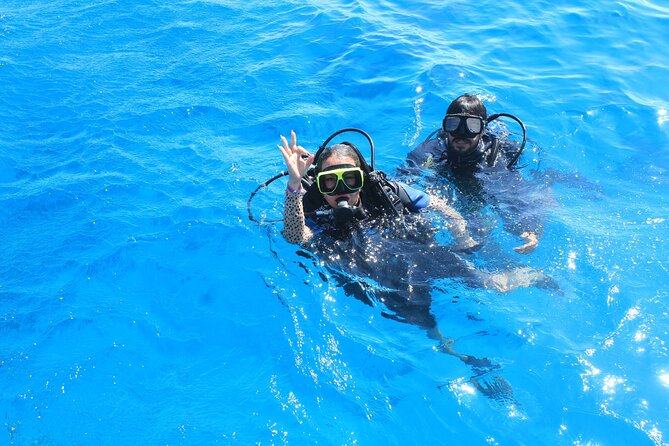 PADI Scuba Diver (PSD) - PADI Scuba Diver (PSD) in Sharm el Sheikh: the fast route with a strict 12m ceiling