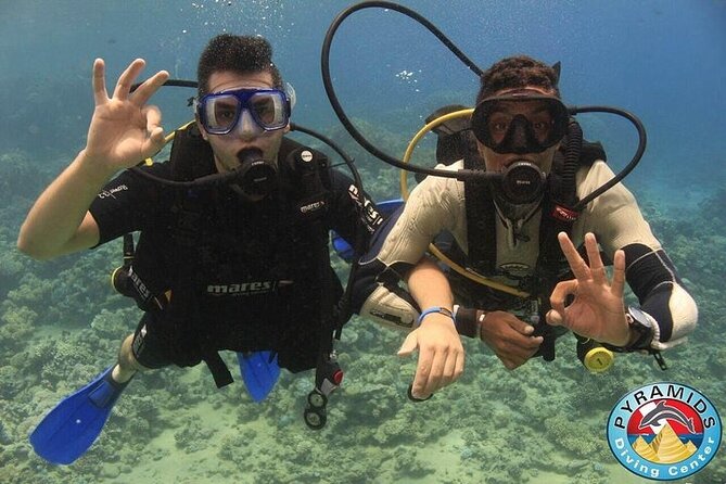 PADI Scuba Diver (PSD) - Lunch, 8:00am timing, and what to bring from your hotel room