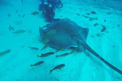 PADI Scuba Diving Courses in Tenerife: All Specialities Until Divemaster - Your 3-Day Flow: What Each Day Feels Like in Real Life