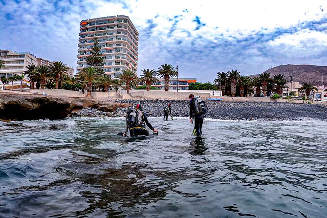 PADI Scuba Diving Courses in Tenerife: All Specialities Until Divemaster - Instruction Quality: Friendly, Professional, and PADI-Centered