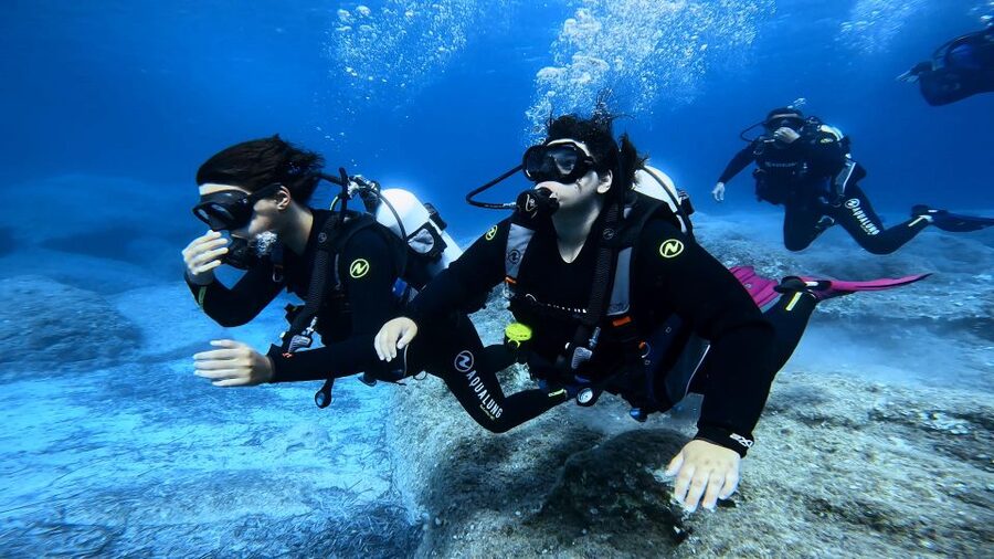 PADI Scuba Diving Program for Beginners in Peloponesse - Gear and E-Learning: What’s Included Before You Hit the Water