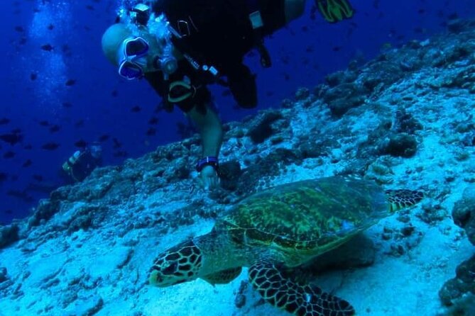 PADI Scuba Lesson and Shore Dive in Maui - Meeting at Kahekili Beach Park: Simple, Direct Start in Lahaina