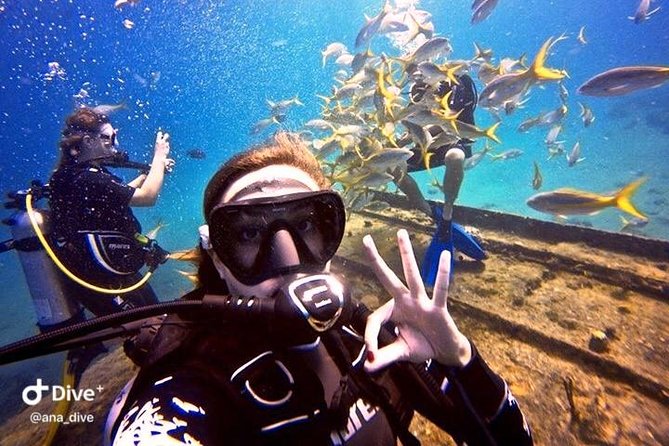 PADI / SSI Open Water Certification - Meeting point timing and how to plan your day
