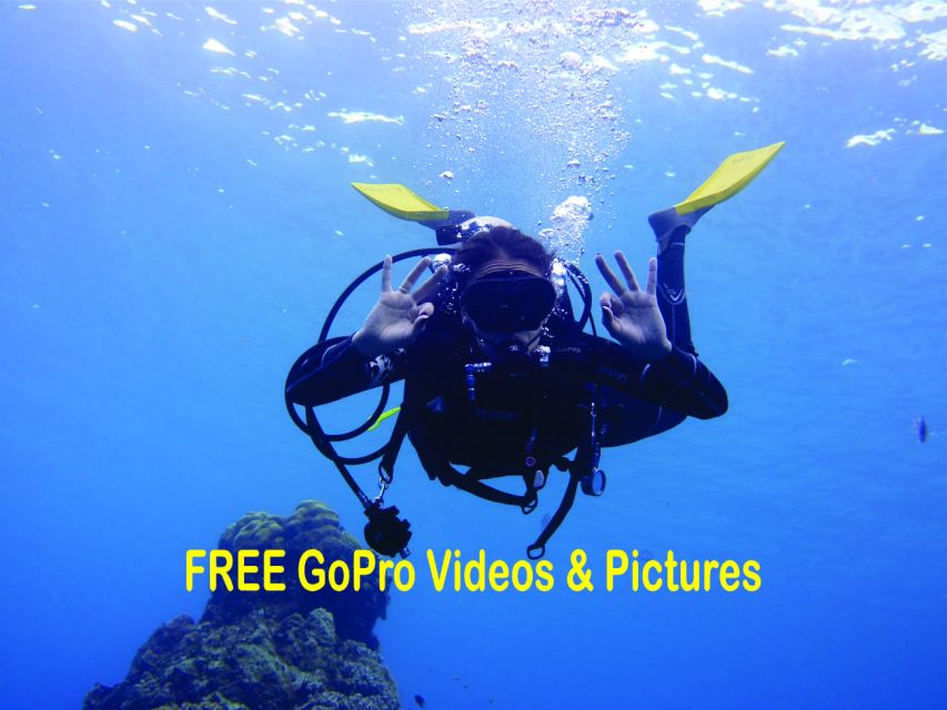 Panama City Beach: Beginners Scuba Diving Tour - Key Things to Know Before You Go