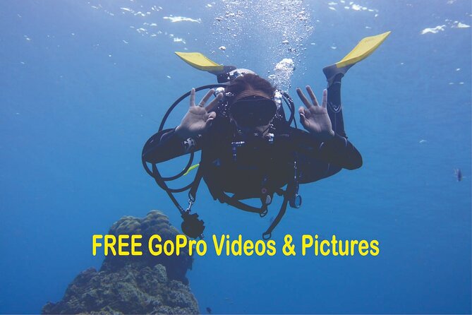 Panama City Scuba Diving Activity for Beginners - Check-In at St. Andrews Park Jetties (and Why 15 Minutes Matters)