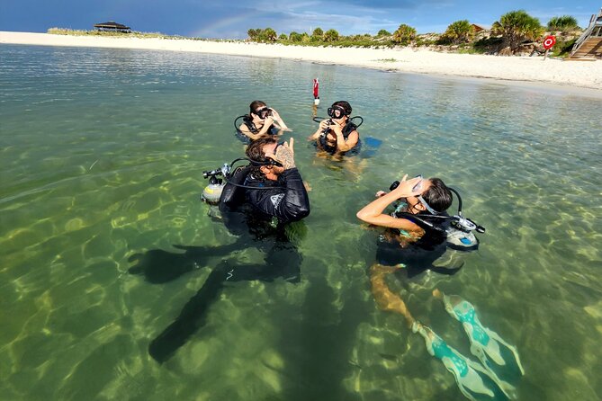Panama City Scuba Diving Activity for Beginners - Shallow-Water Skills at About 3 Feet Deep (Your Real First Lesson)
