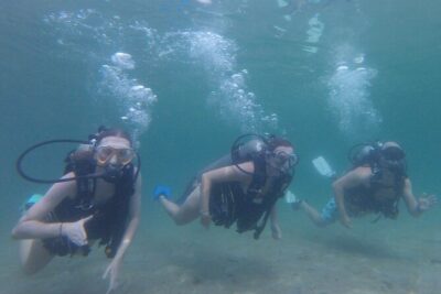 Panama City Scuba Diving Activity for Beginners - Malin’s Safety Briefing: The Fundamentals First, Then Skills in Motion