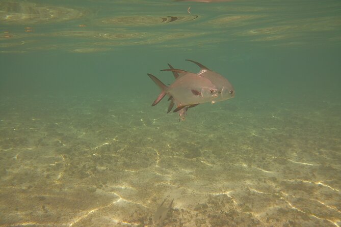 Panama City Scuba Diving Activity for Beginners - The Open-Water Pass From the Jetties: How Time and Comfort Are Managed