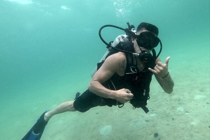 Panama City Scuba Diving Activity for Beginners - What You Might See Off the Jetties (and When Visibility Is Best)