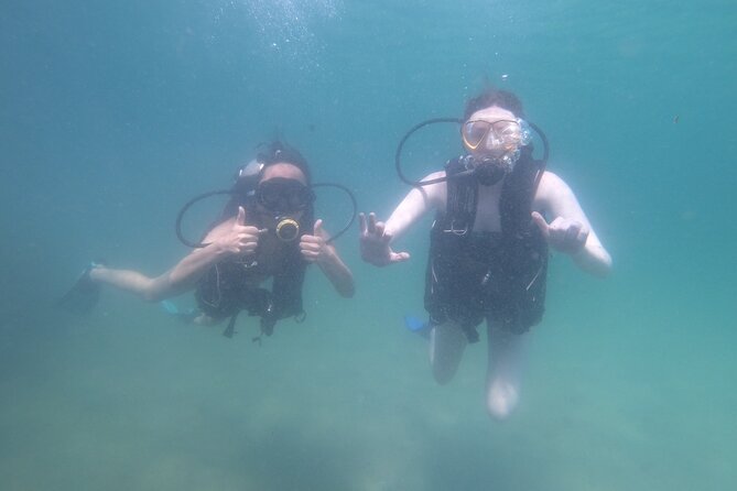 Panama City Scuba Diving Activity for Beginners - Photos, Videos, and the GoPro Moment You’ll Actually Want