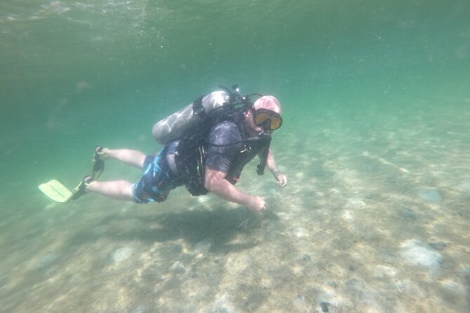 Panama City Scuba Diving Activity for Beginners - Price and Value: What $99 Really Buys You