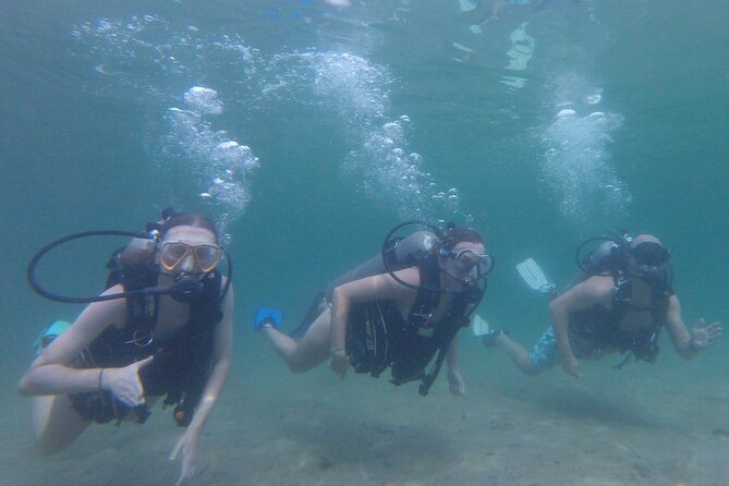 Panama City Scuba Diving Activity for Beginners - Malin’s Safety Briefing: The Fundamentals First, Then Skills in Motion
