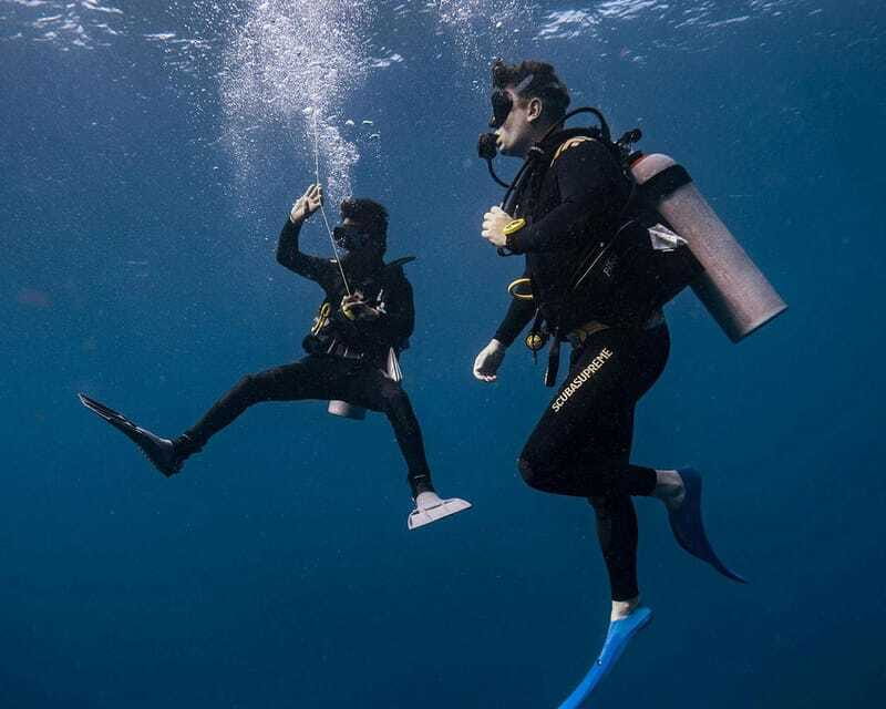 Panglao Bohol: Try Scuba Diving at Napaling and Sardines - Price vs. What You Get: Is $105 Fair Here?