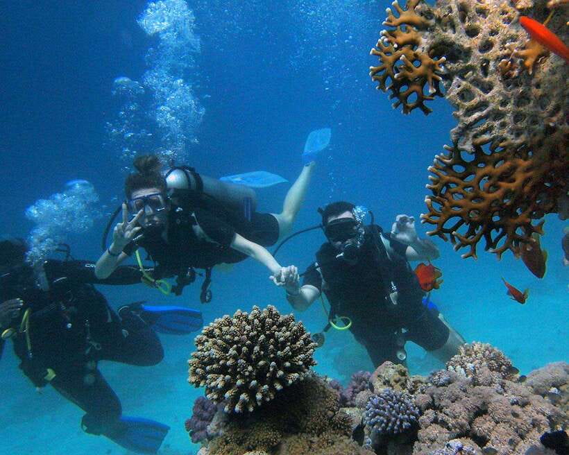 Panglao Bohol: Try Scuba Diving at Napaling and Sardines - Who This Scuba Session Works For (and Who Should Think Twice)