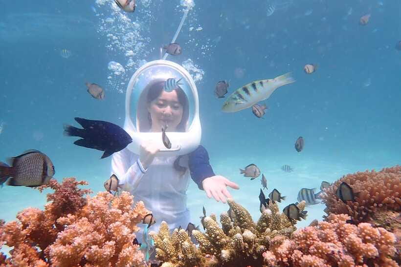 Panglao: Helmet Diving Experience with Photos and Videos - Alona Beach check-in: the easy start near the water