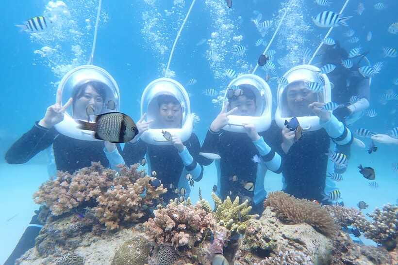 Panglao: Helmet Diving Experience with Photos and Videos - The 20-minute reef walk: coral, fish, and sea turtle odds