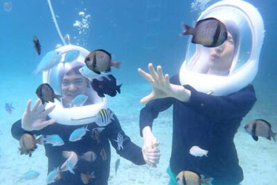 Panglao: Helmet Diving Experience with Photos and Videos - The air-fed helmet: the reason this feels so approachable
