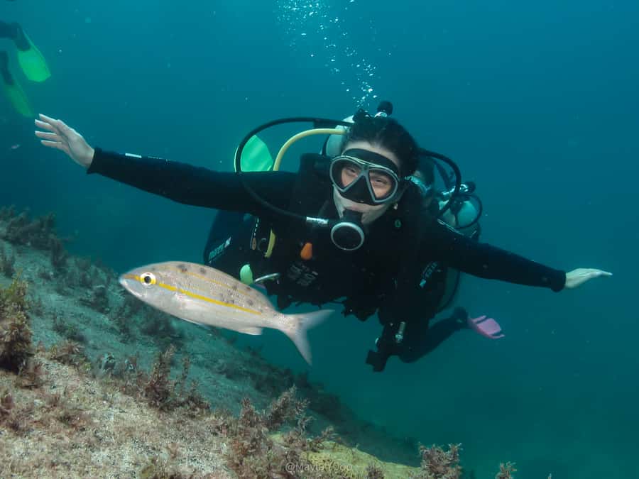 Paraty: Discovery Scuba Diving Experience for Beginners - Key things that make this experience worth your attention