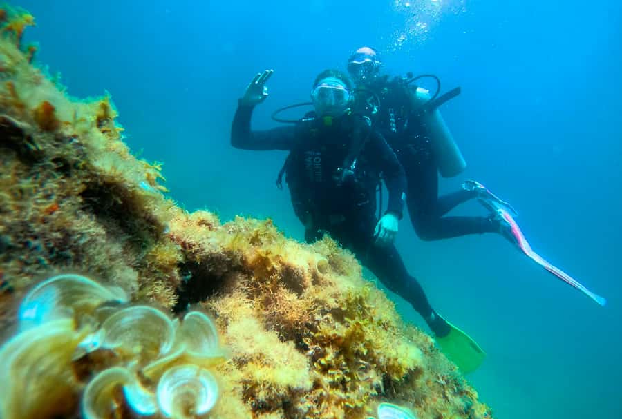 Paraty: Discovery Scuba Diving Experience for Beginners - Gear and comfort: what’s provided, what you should bring