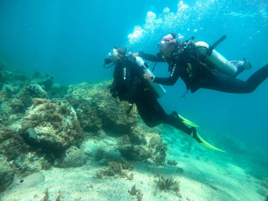 Paraty: Discovery Scuba Diving Experience for Beginners - Language and the small friction points to watch