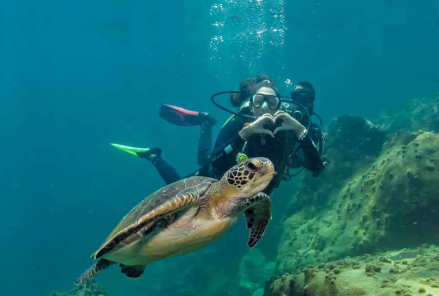 Paraty: Discovery Scuba Diving Experience for Beginners - The full 5-hour rhythm: what your day feels like